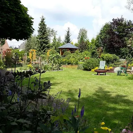 Ott Auerbach (Vogtland)