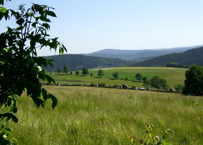 Ott * Auerbach (Vogtland)